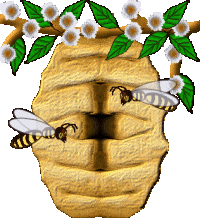 Entreprise - Essaim abeilles