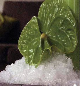 instantsnow1.jpg