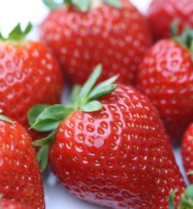 Fraises-1--13----Copie.JPG