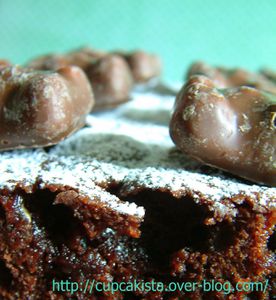 Gâteau des oursons chocolat guimauve-3