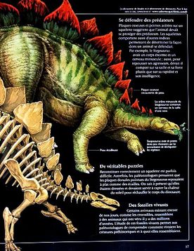 Encyclopédie illustré du monde 4