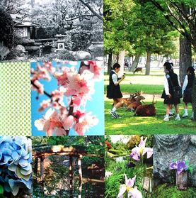 Japon-Vacances-7.JPG