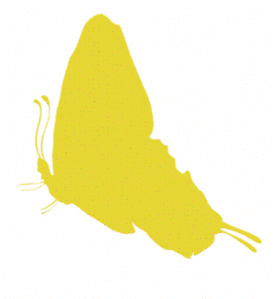 papillon-jaune-2.gif