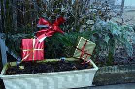 Decor-dec-2013 4171