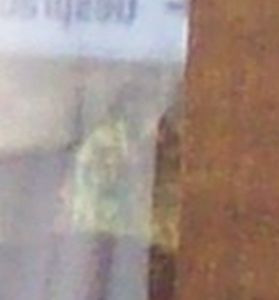 Photo-001b.jpg