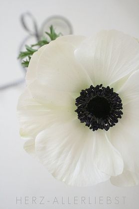 221028294181786083_CuMjREW1_c.jpg