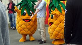 ananas