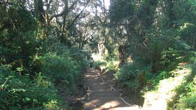 Chemin2