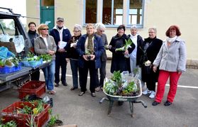 St-BenigTroc-plant.jpglo.jpg