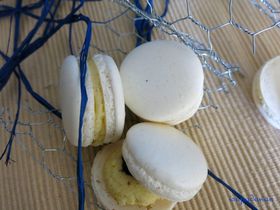 macarons-vanille-myrtille--10-.JPG