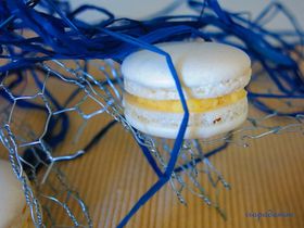 macarons-vanille-myrtille--26-.JPG