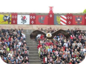 Puy du Fou 31