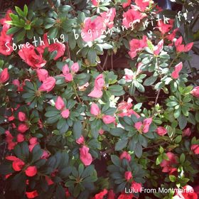 07_Something-beginning-with-f--JPG
