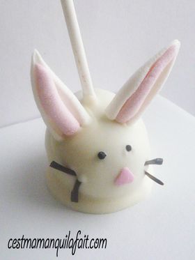cake pop lapin de paque tout doux fluffy bunny cake pop (8)