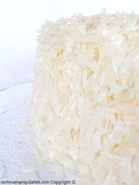 gatau blanc noix de coco white coconut cake (2)