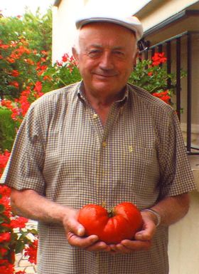 St-BenigTomate.7lo.jpg