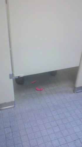 toilette-tampon-copie-1.jpg
