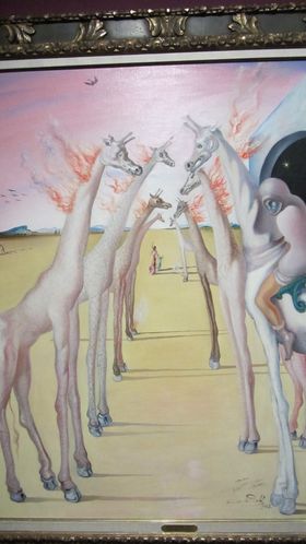 DALI-0760.JPG