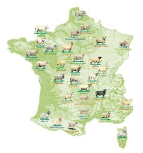 carte_CIV-copie-2.jpg