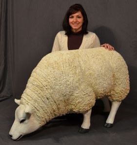 mouton-grandeur-nature.JPG