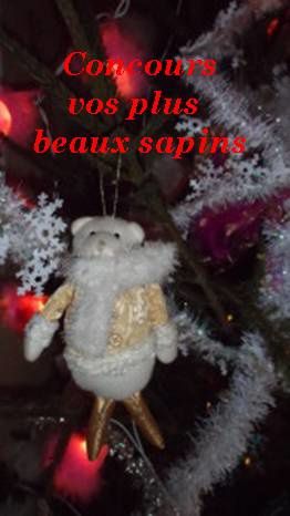 concours-sapin-2013.jpg