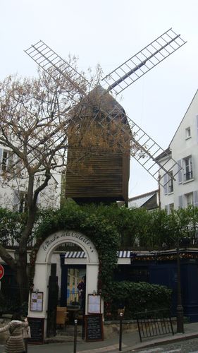 DSC04397