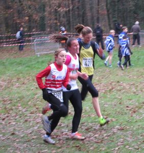 Sprint Cross PEC 20121202 BEF+MIF
