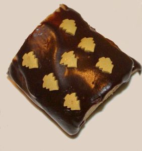 buche-dessus.jpg