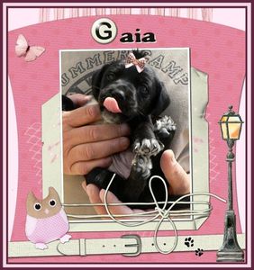 2011-10-05-Gaia.jpg