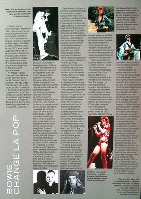 Bowiestyle-4-copie-1.JPG