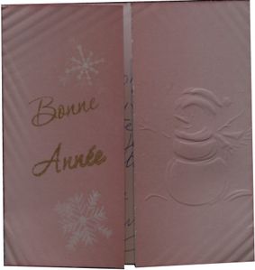 carte bonne annee marie madeleine 2010