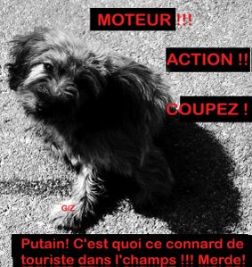 Chez-l-Emir--y-a-un-cabot-qui-parle.jpg