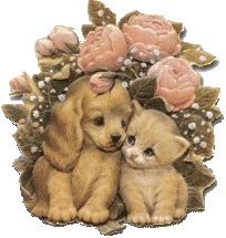 chien-et-chat.gif