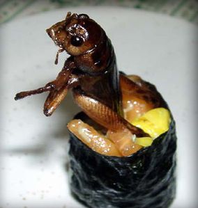 sushis_insectes6.jpg