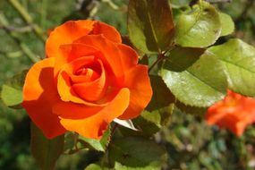 DSC027650809