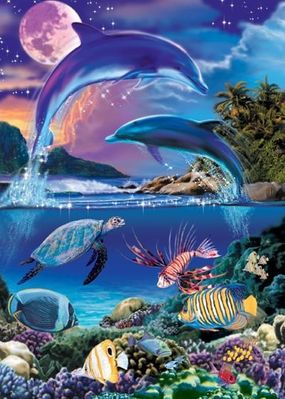 null animal poisson divers biodiversité