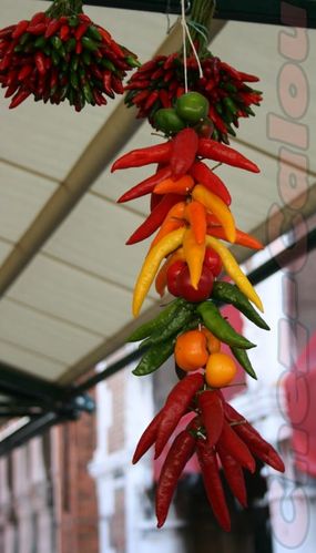 piment.jpg