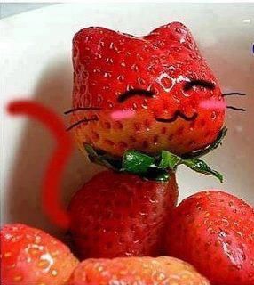 chat-fraise