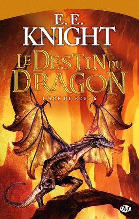 l'age du feu T6 le destin du dragon-copie-2