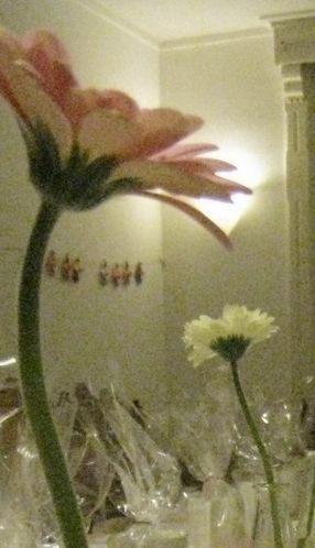 janvier-2010-2325rog.jpg