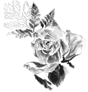 whitrosel