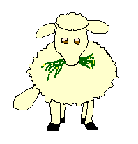 mouton-023.gif