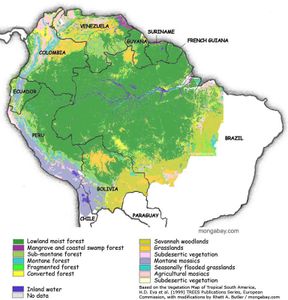 Amazonia-el-gran-pulmon-verde-del-Planeta-Tierra.jpg