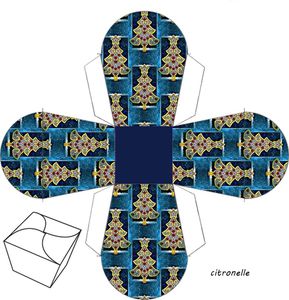 b-a-migniardise2.jpg