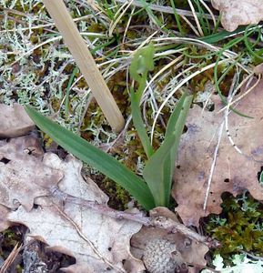 DSCN8287.JPG