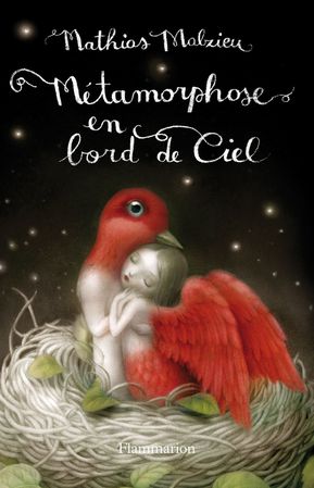 metarmophose-en-bord-de-ciel-couverture.jpg