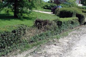 accident-Bergers 0311