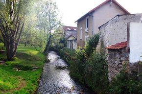 IMGP6550-Haute-vallee-de-la-Bievre.jpg