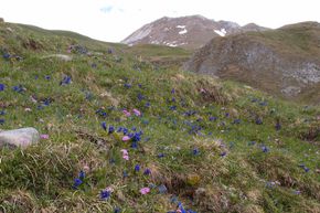 2012-06-07 Col du Mône 03