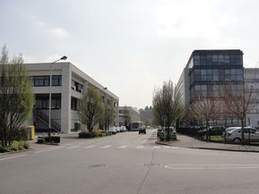 DSC03525